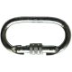 Steel Screwgate Carabiner